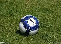 萨内在加入,球队后为法,兰克福,时时彩,彩票平台,高频彩票,在线购彩,彩票投注