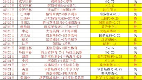 中国女排洛杉矶奥运周期主帅选拔程序正式开启